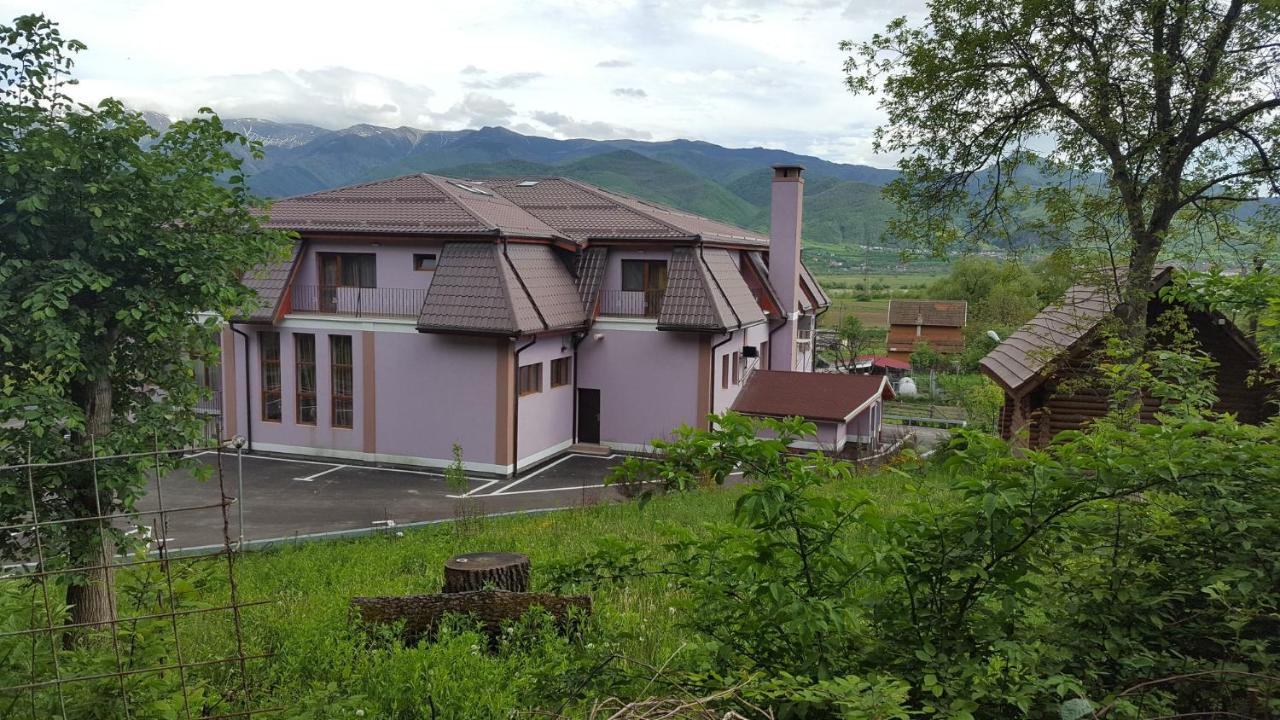 Pensiunea Osencuta Tălmaciu Esterno foto