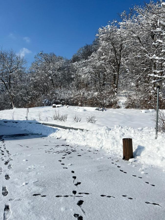 Pensiunea Osencuta Tălmaciu Esterno foto