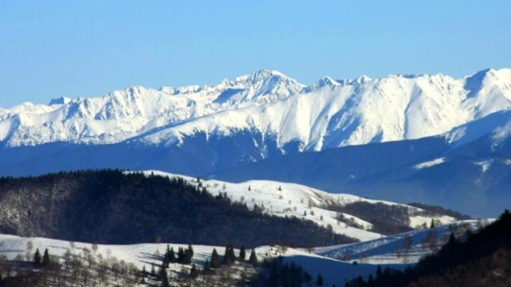 Pensiunea Osencuta Tălmaciu Esterno foto