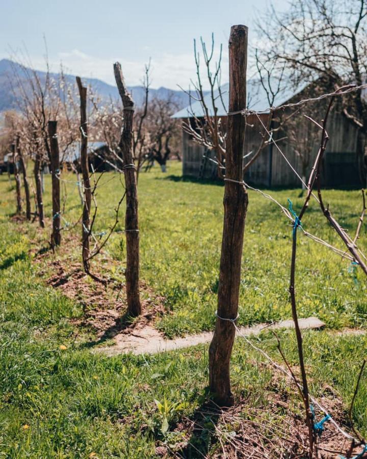 Pensiunea Osencuta Tălmaciu Esterno foto